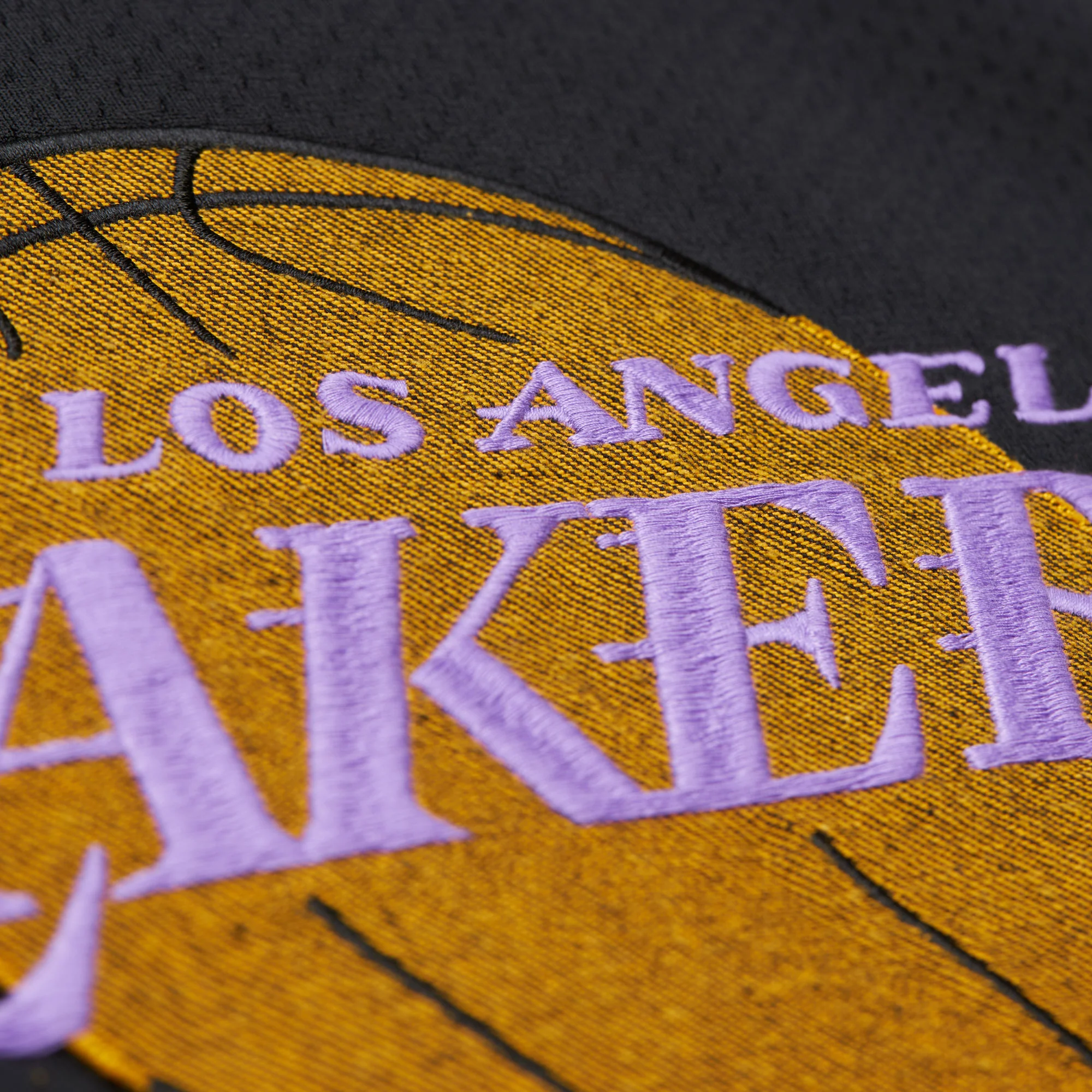 Lakers M&N x Purple Mesh Tee - Image 4