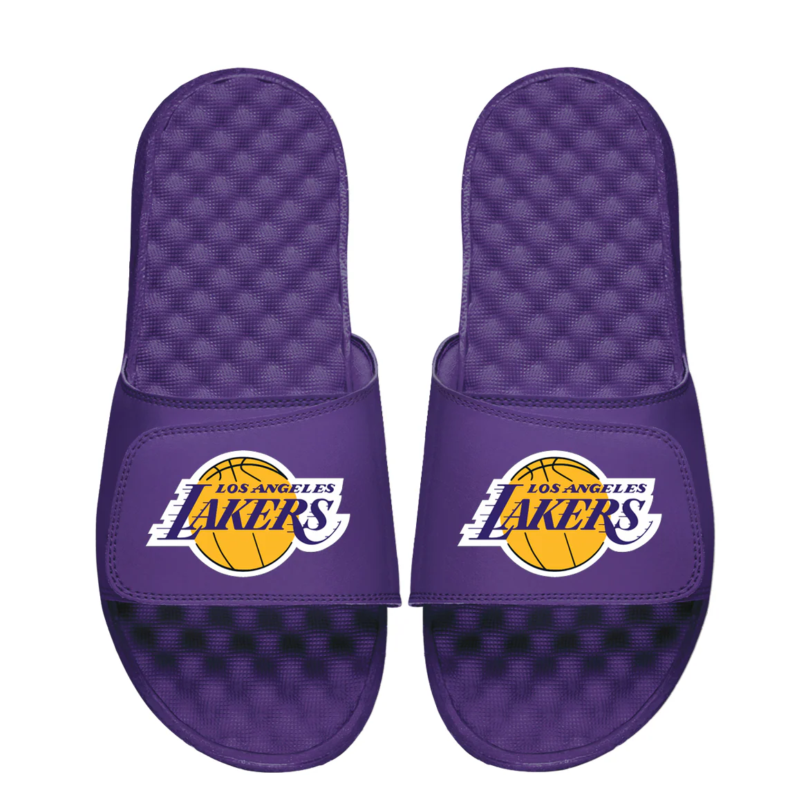 Los Angeles Lakers Primary Logo - Image 4