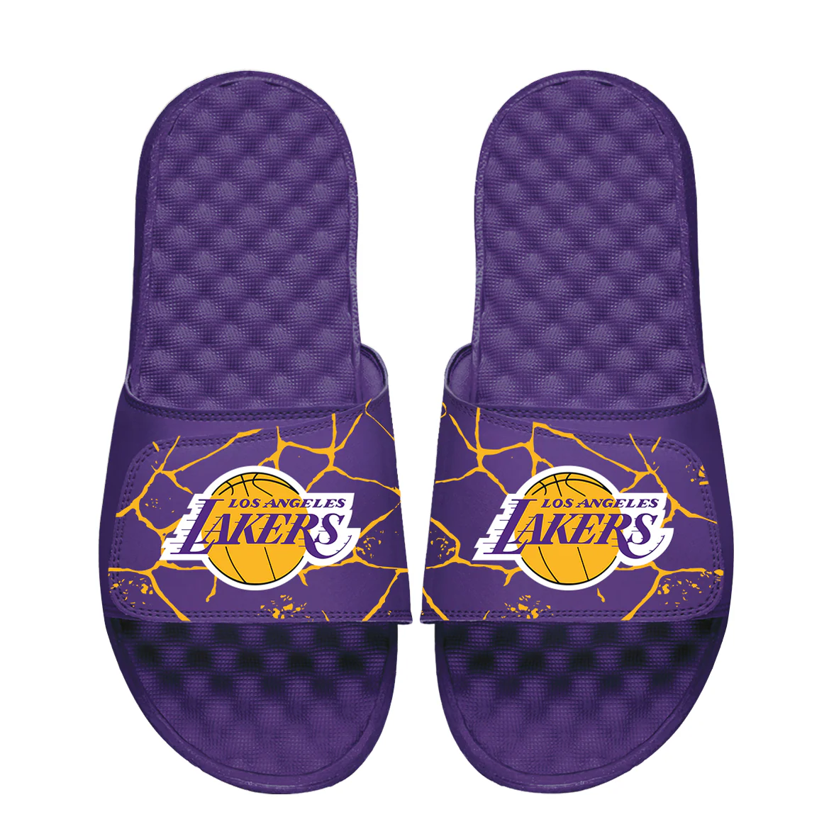 Los Angeles Lakers Shattered