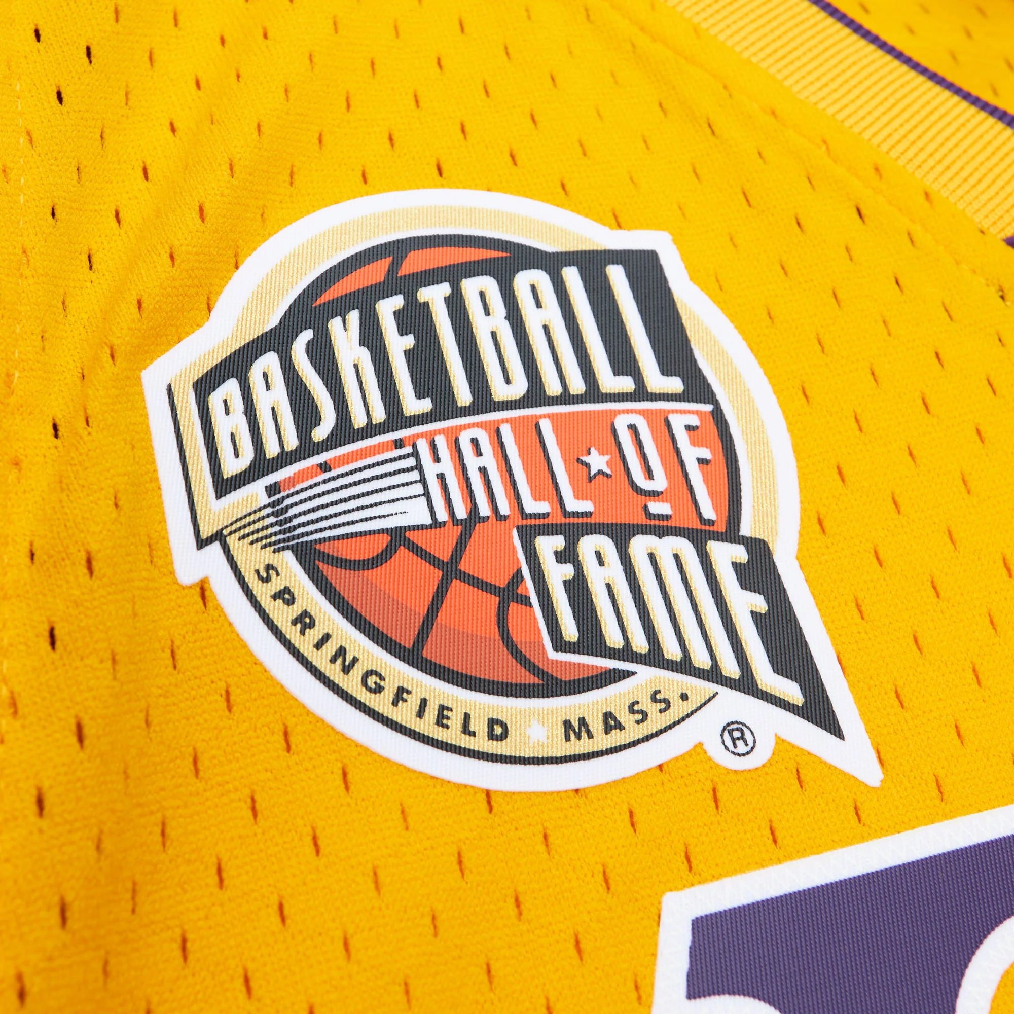 NBA HOF Swingman Jersey Lakers Pau Gasol Icon - Image 3