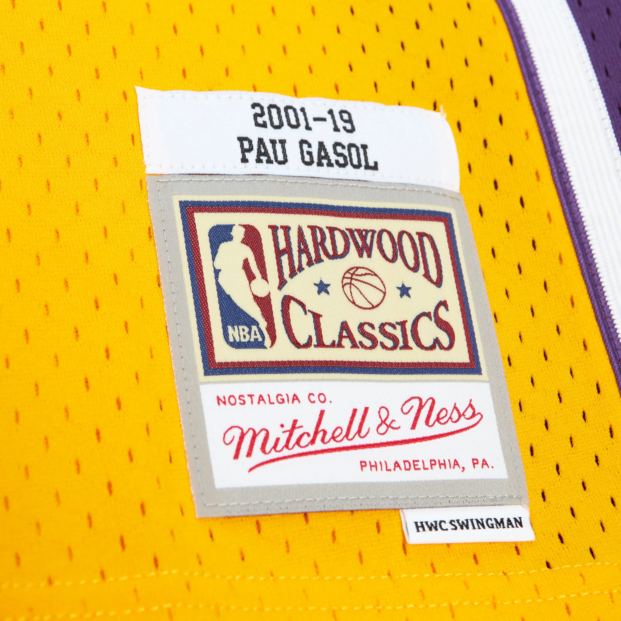 NBA HOF Swingman Jersey Lakers Pau Gasol Icon - Image 4
