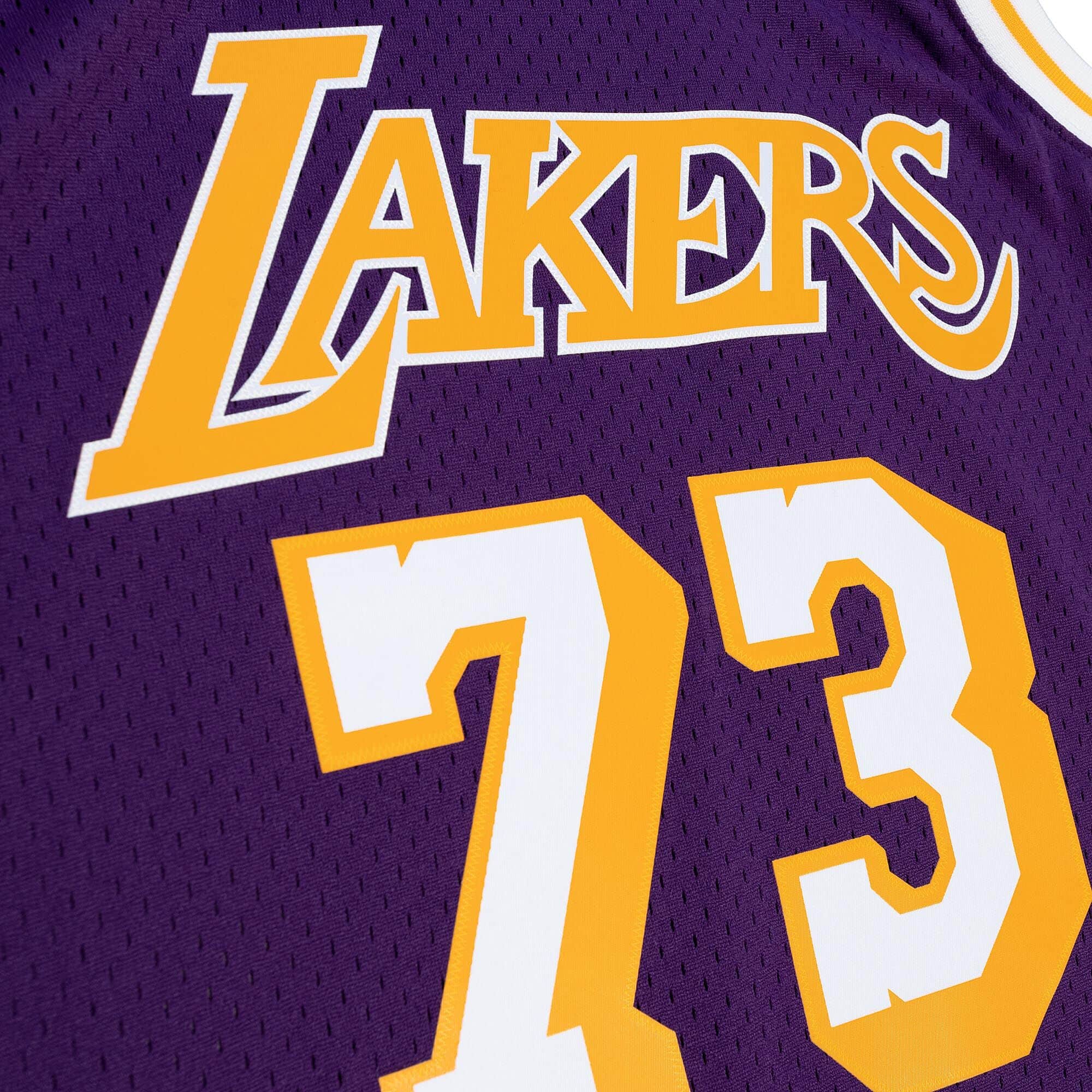 Lakers 98 Rodman Road Jersey Purple - Image 3